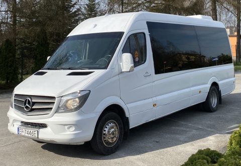 Mercedez Benz Sprinter zdj profilowe